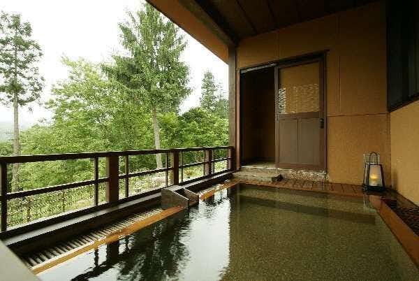 Myoko Yamasato no Yuyado Kofukan with an open-sided mineral bath facing mature green trees.