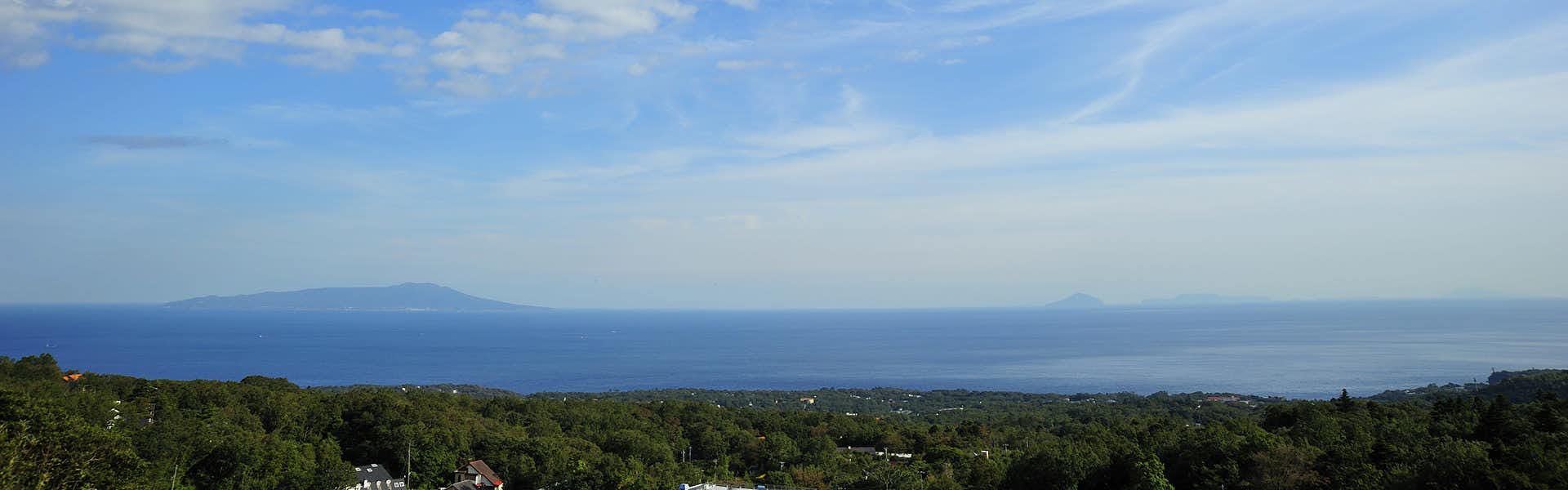 Nasu no Hana: A Healing Inn with Spectacular Views with a wide blue horizon viewed from its forested hillside.