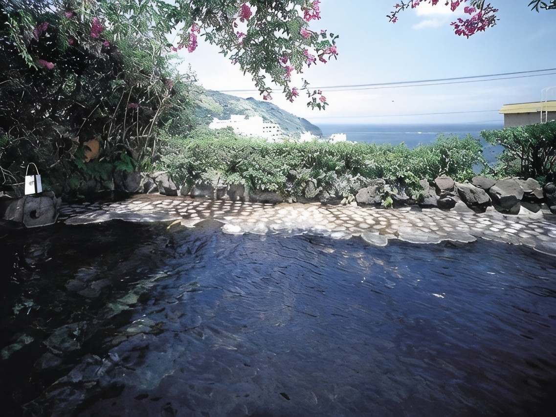 Stone-edged outdoor pool surrounded by foliage.