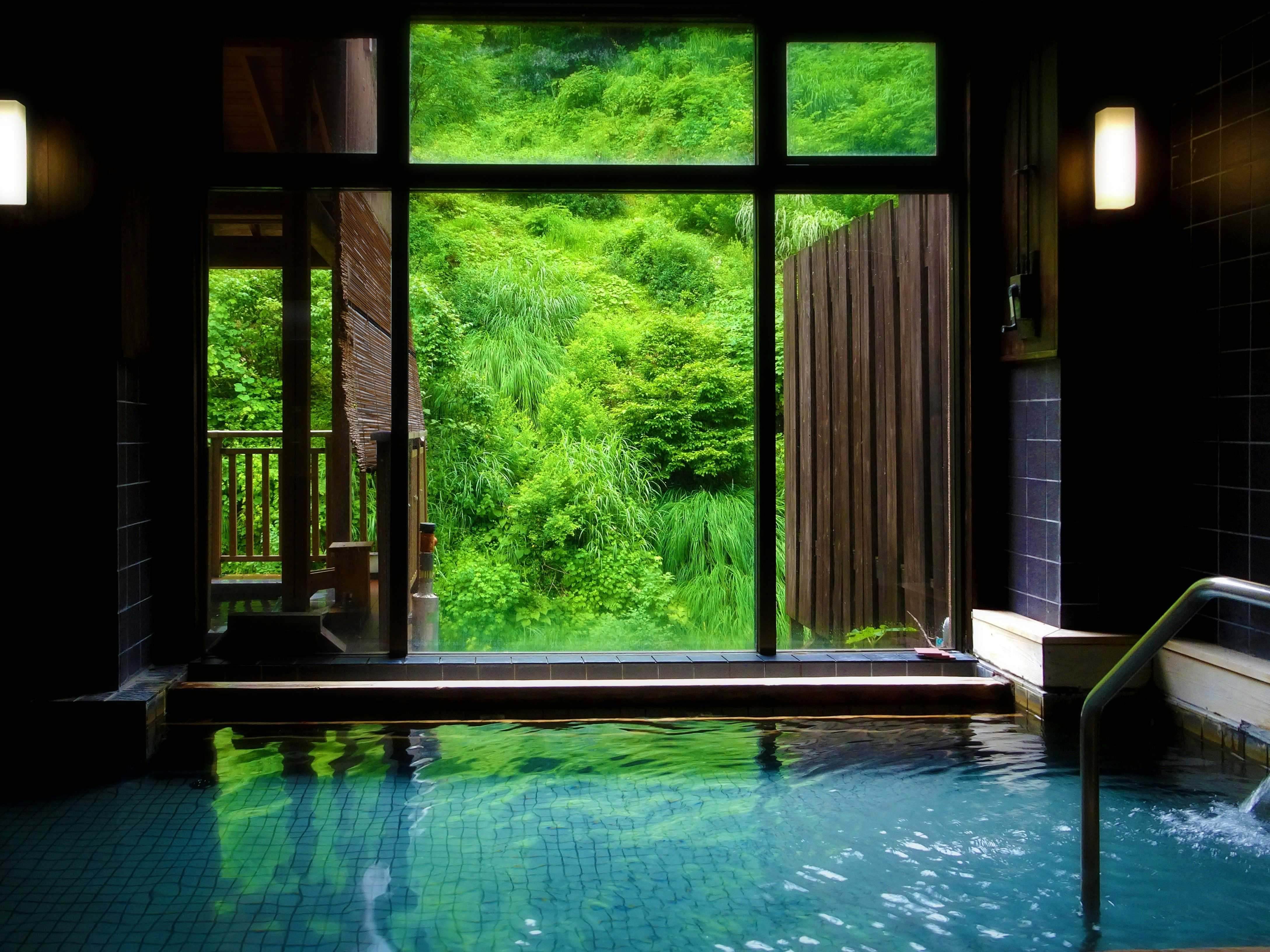 Hana no Yado Yomoyama-kan with this scene, where an indoor bath opens toward dense green forest through a broad window.