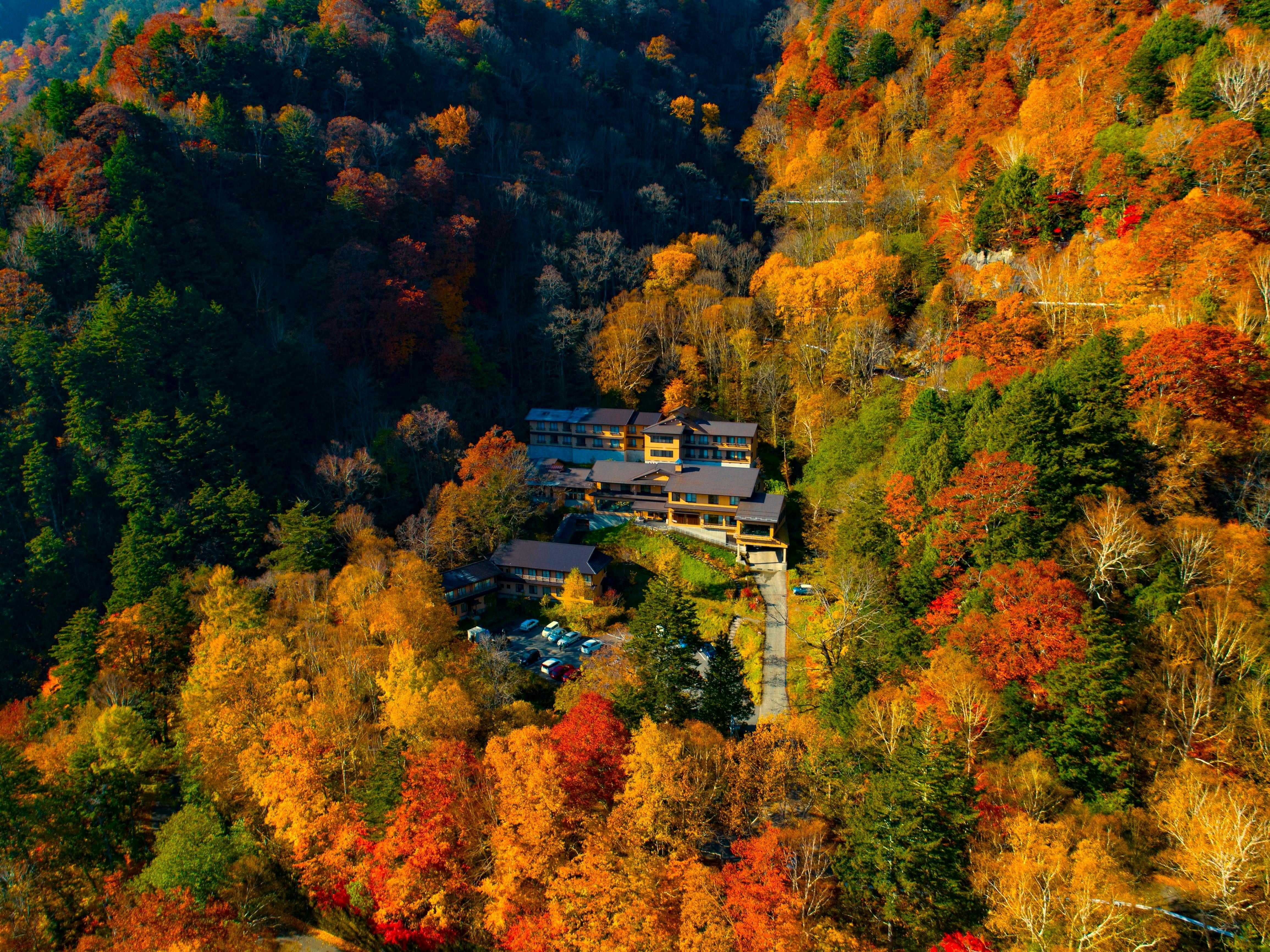 Nakanoyu Onsen Ryokan multi-story lodging exterior surrounded by vivid red and orange trees