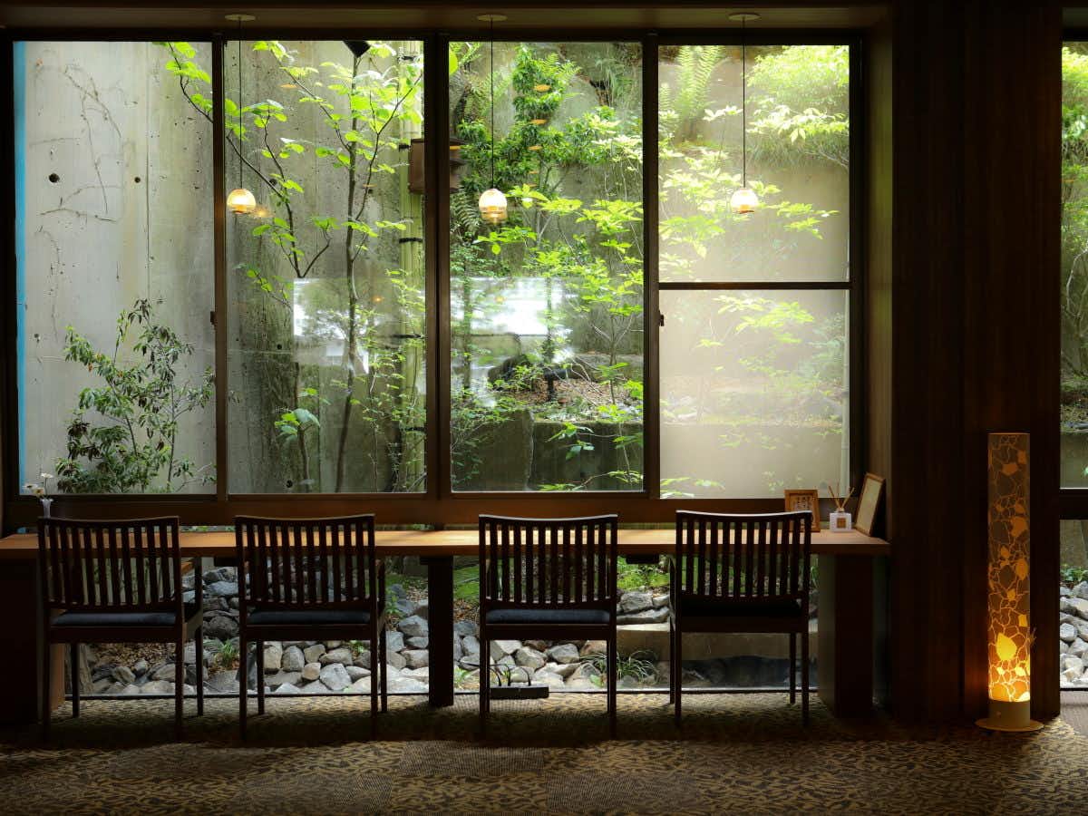 A row of timber chairs facing the leafy courtyard garden.