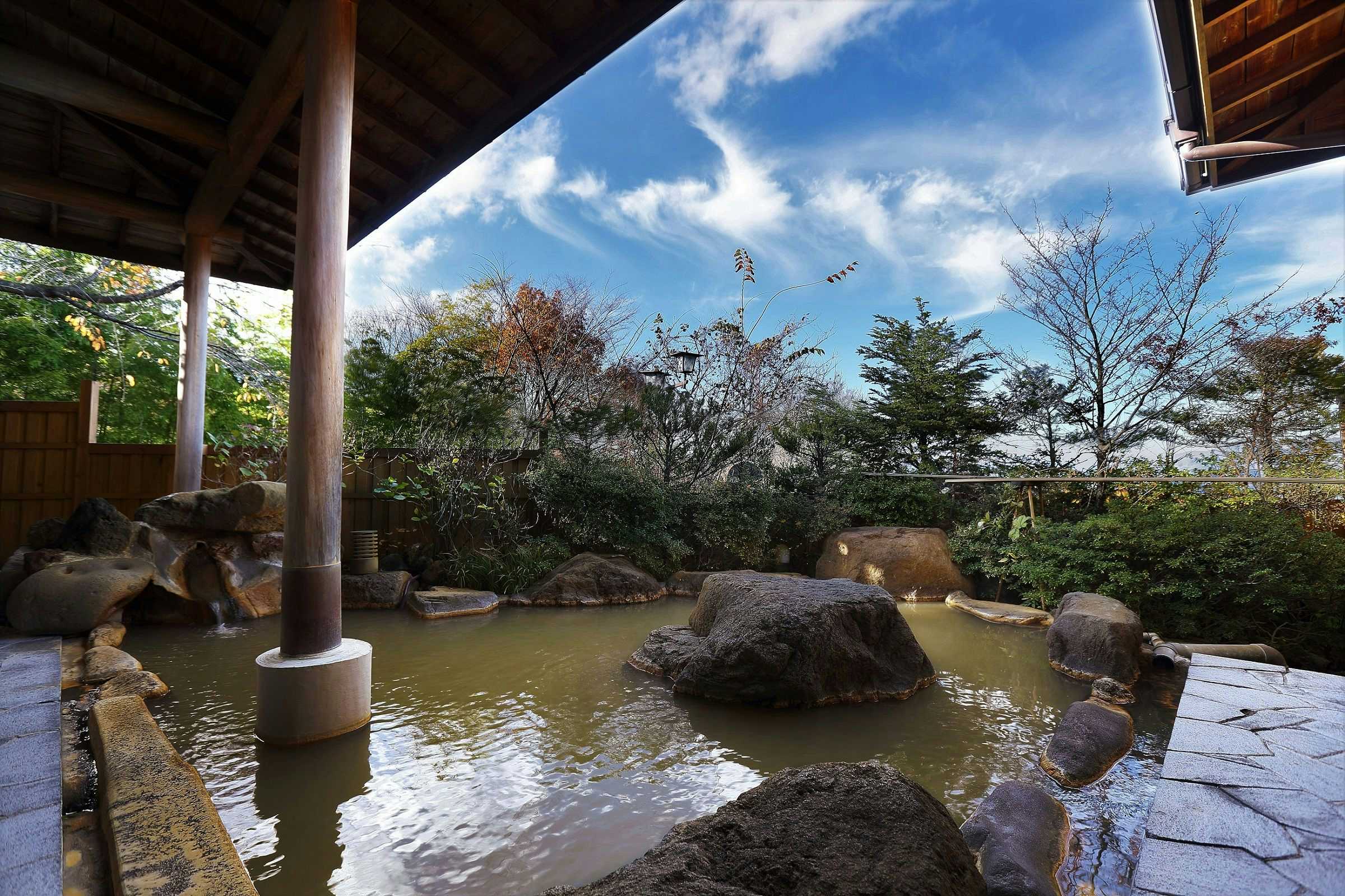 Chiaki Jinsentei Large rock-lined open-air bath beneath a timber pavilion with surrounding shrubs, trees, and blue sky