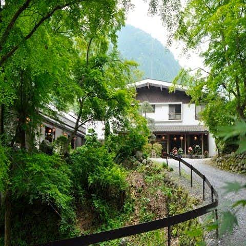 Yatsugawakan lodging exterior along a path amid tall trees