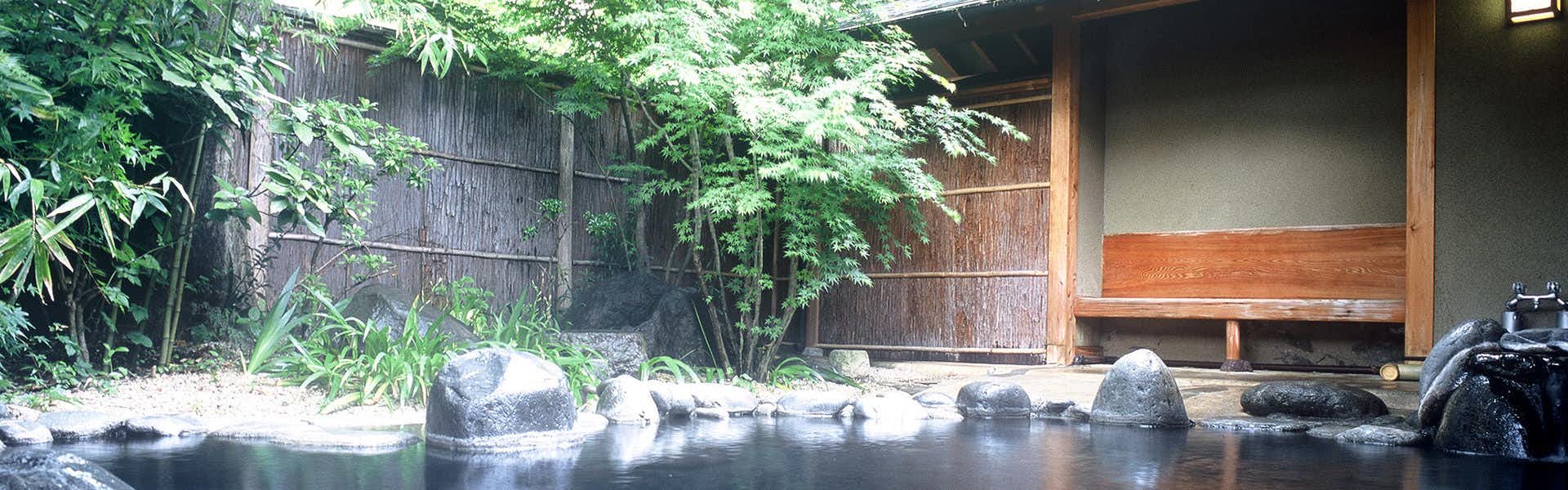 Ryotei Tanokura, Japan