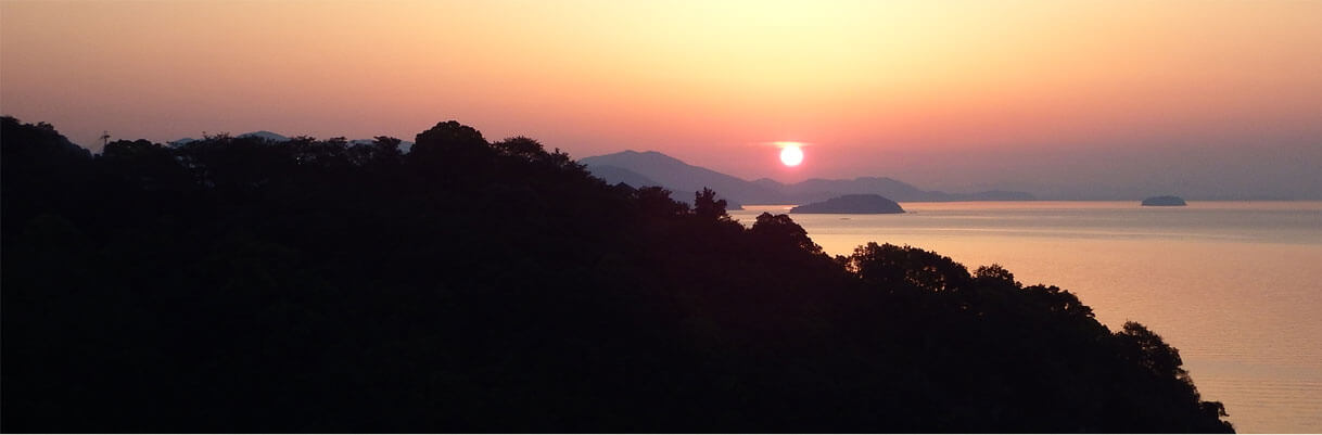 Sunlit sea across the Seto Inland Sea.