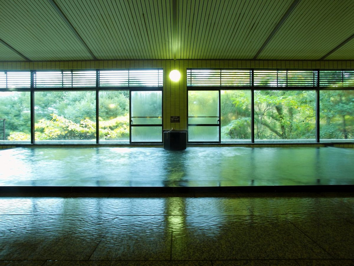 A large indoor bath facing broad forest windows.