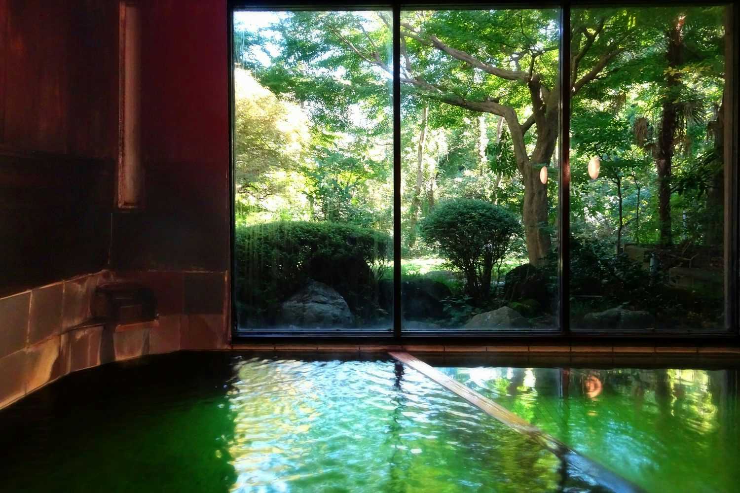 Issuisou with an indoor bath facing dense greenery through broad windows.