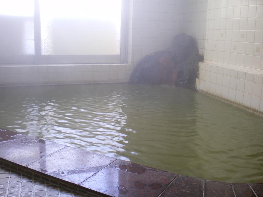 Indoor bathing pool with large windows and a rock feature.