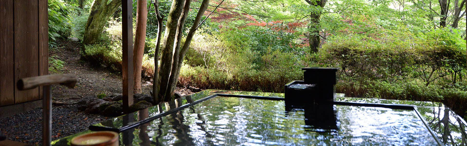 Hakone Gora Byakudan Bath pool with black metal railing, still water surface, overhead trees, black-painted structure visible, forested setting.