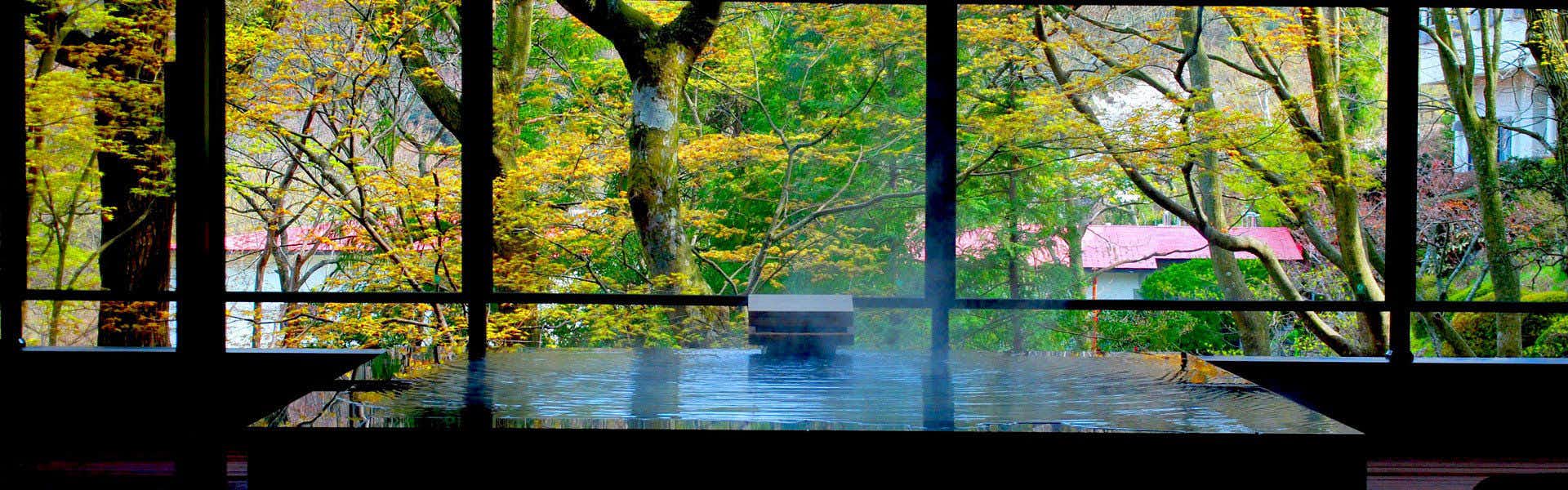 Gora Tsuki no Izumi with this scene, where autumn foliage fills the wide window beyond a calm guest-room terrace.