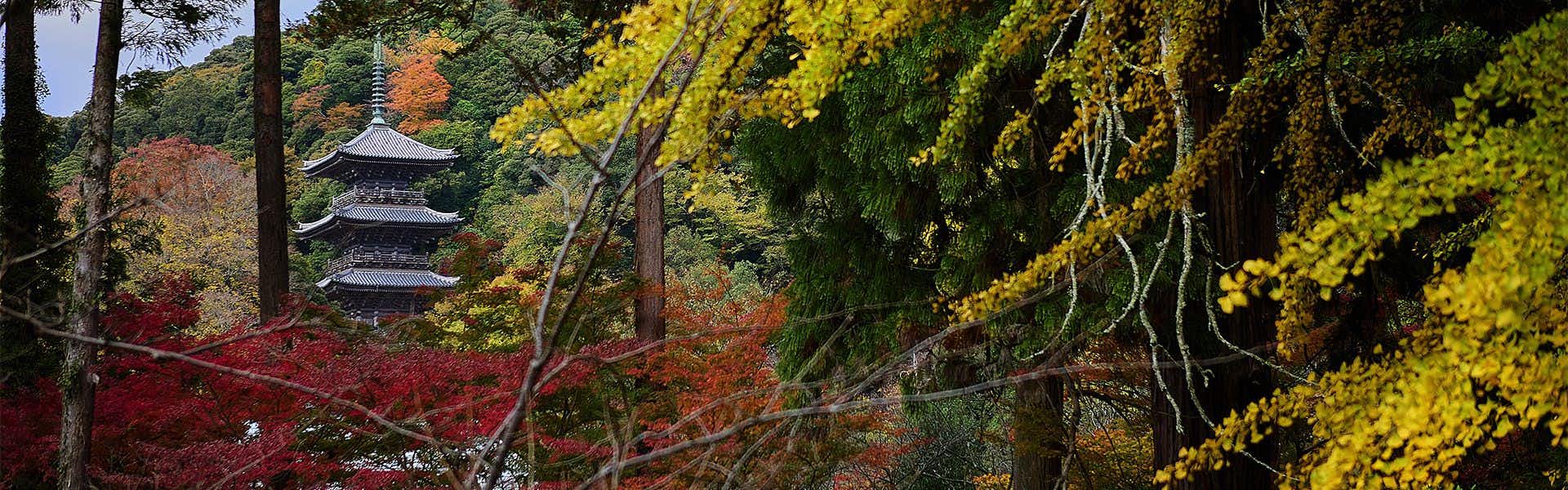 Kouyoukan, Shimane Prefecture